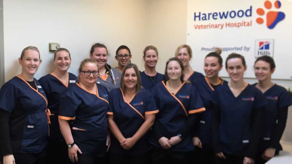 Pet sales doctors harewood